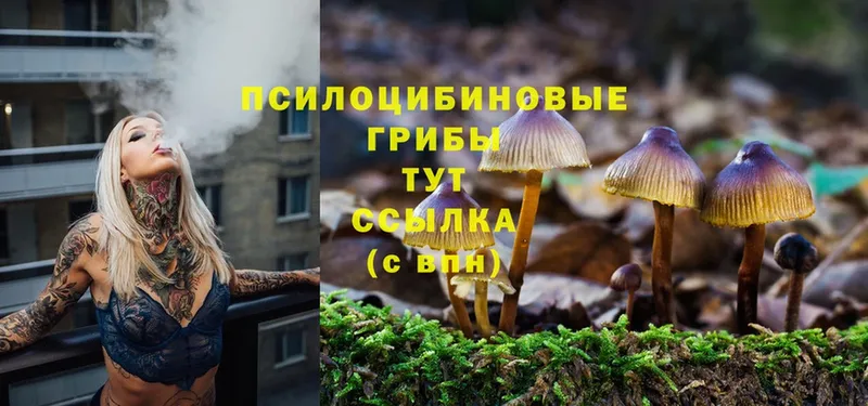 Галлюциногенные грибы Magic Shrooms  Тобольск 